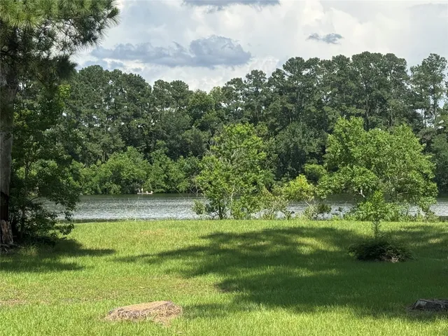 a view of a green yard