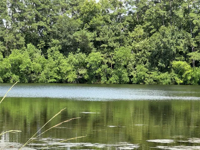 a view of swimming pool from a yard