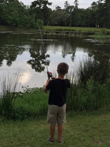 a lake view with a garden