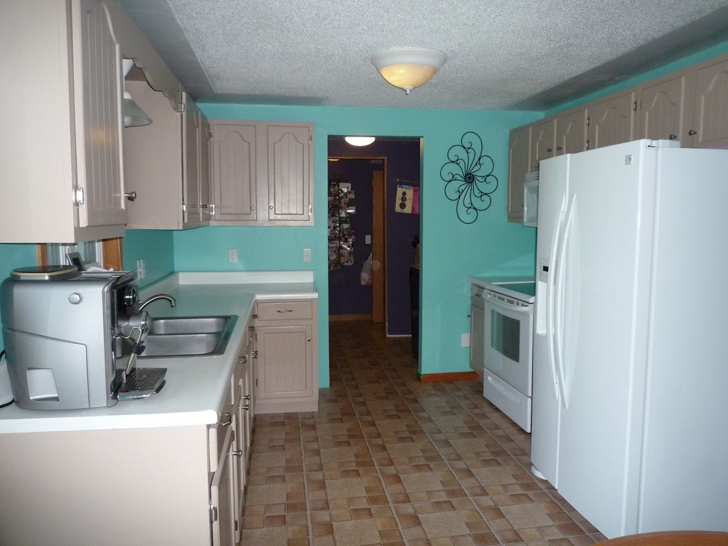 9667 East South County Line Road St. Louis, MI 48880 - Photo 11 of 30 1801851-10.JPG