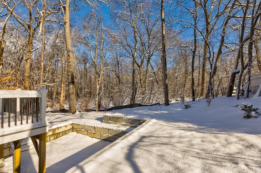 50 Azalea Circle Reading, MA 01867 - Photo 39 of 41 a view of yard with house and trees in the background