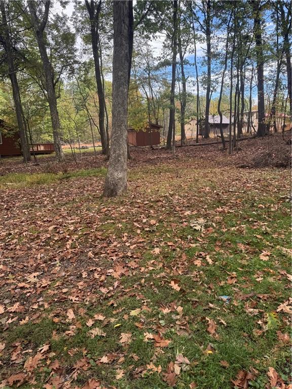 117 Chestnut Ridge Road Acme, PA 15610 - Photo 26 of 26 a backyard of a house with lots of green space