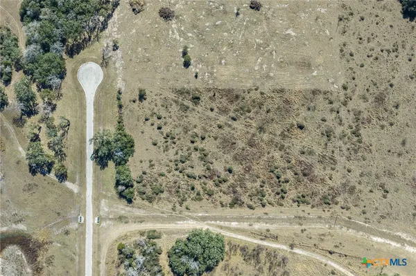 a view of a green yard with large trees