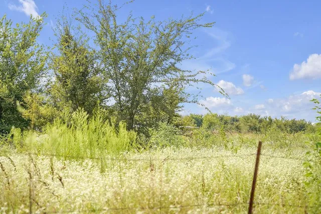 a view of a lake with a big yard