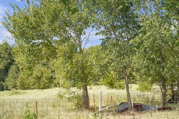 $139,000 | 2675 County Road 1165, Brashear, TX 75420