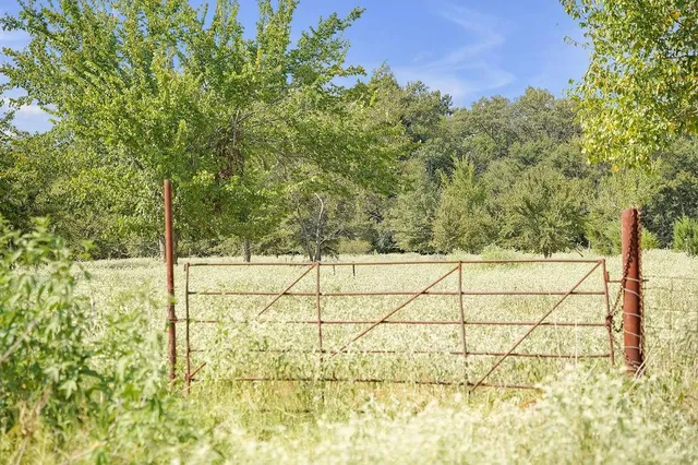 a view of a yard with wooden fence
