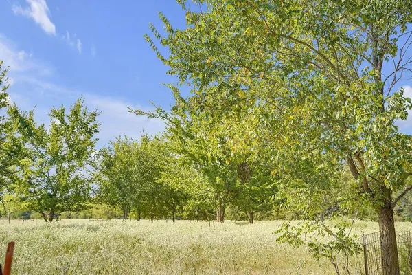 $139,000 | 2675 County Road 1165, Brashear, TX 75420