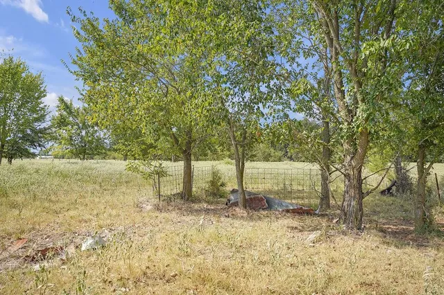 a view of a field with trees in the background