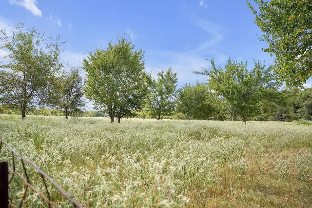 a view of a yard with an trees