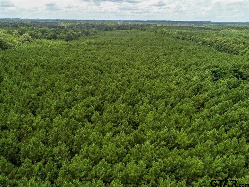 599 Jones Farm Road Avinger, TX 75630 - Photo 19 of 19