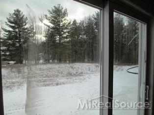 8184 Tamarack Lane Romeo, MI 48065 - Photo 12 of 19 Nature views are available from all angles of your home, this one is from the walk out basement