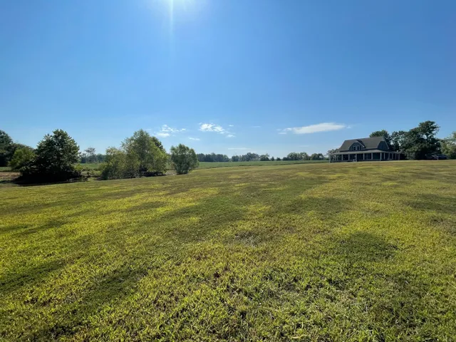 a view of an ocean and beach