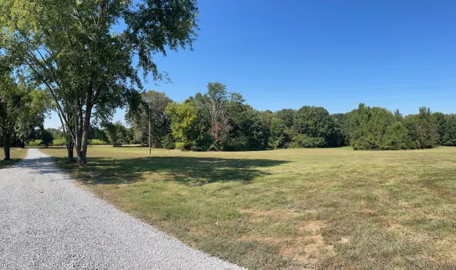 a view of yard with trees