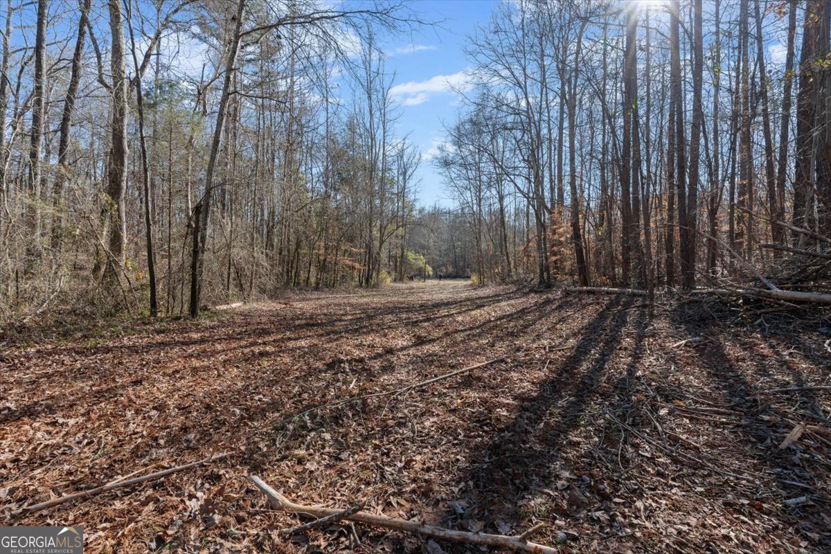80 Hand Road Bowdon, GA 30108 - Photo 40 of 82 a backyard of a house with lots of green space