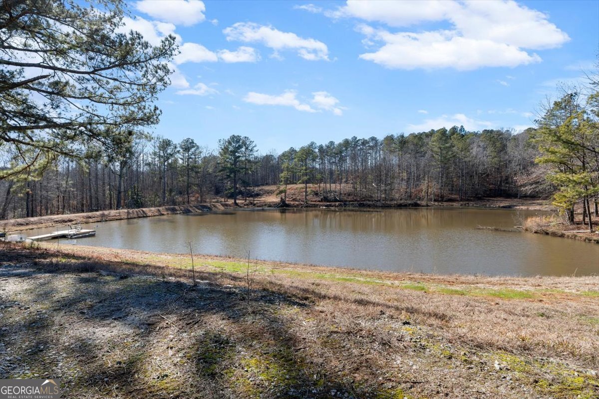 80 Hand Road Bowdon, GA 30108 - Photo 47 of 82 a view of a lake with houses in the background