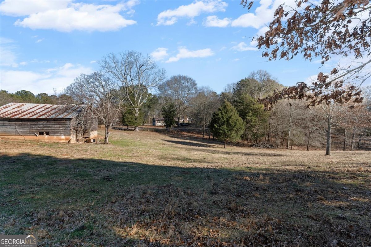 80 Hand Road Bowdon, GA 30108 - Photo 50 of 82 a view of dirt yard with large trees