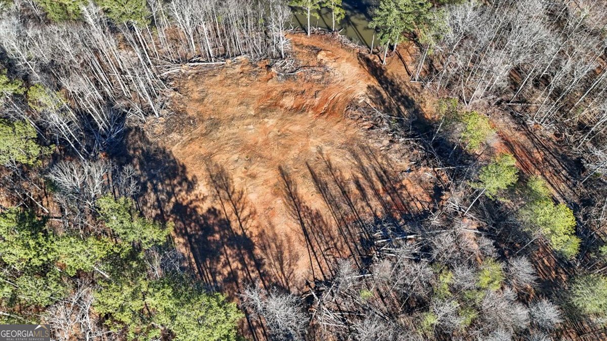 80 Hand Road Bowdon, GA 30108 - Photo 54 of 82 a backyard of a house with lots of green space