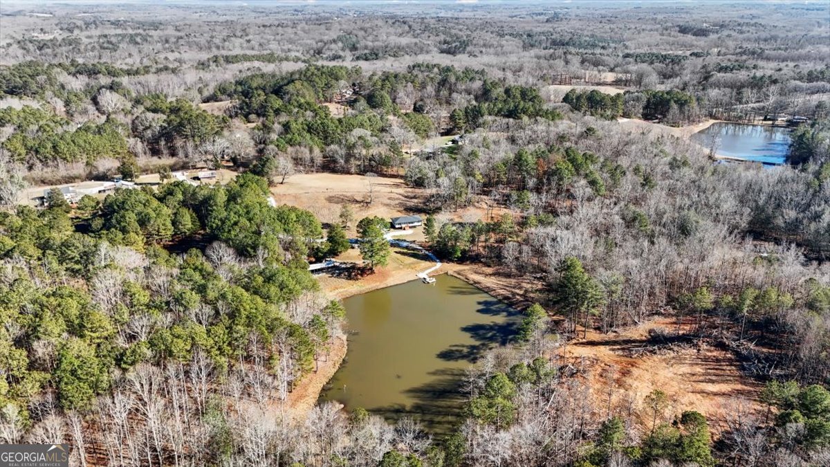 80 Hand Road Bowdon, GA 30108 - Photo 56 of 82 an aerial view of residential house with outdoor space and trees all around