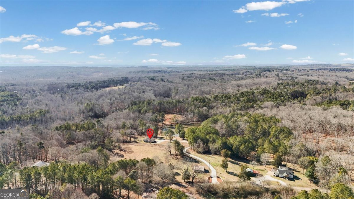 80 Hand Road Bowdon, GA 30108 - Photo 58 of 82 a view of a city
