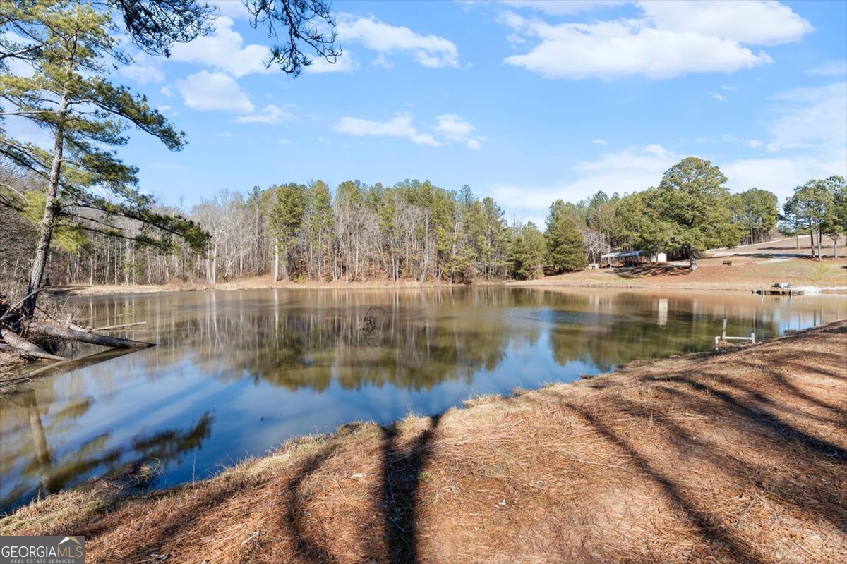 80 Hand Road Bowdon, GA 30108 - Photo 59 of 82