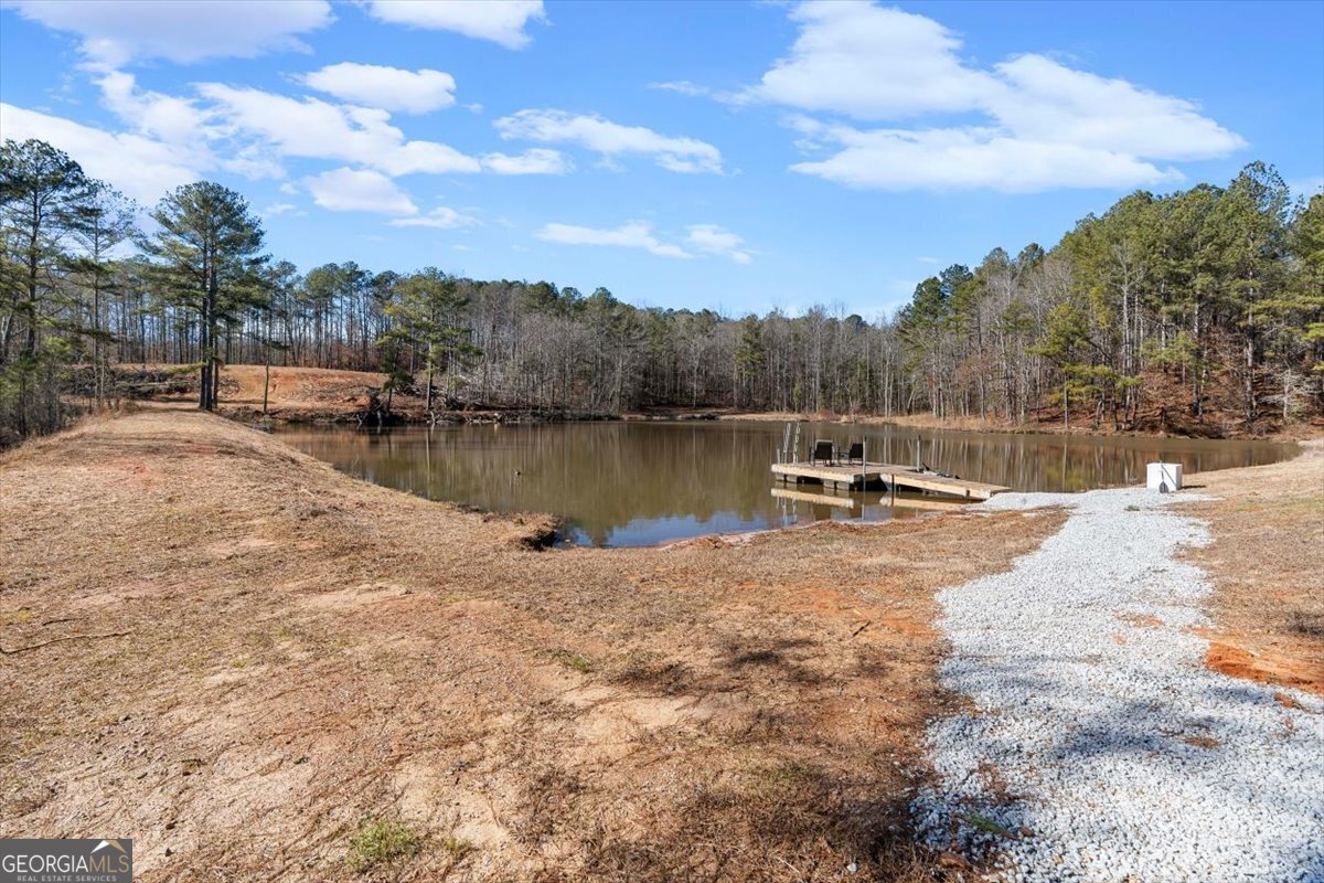 80 Hand Road Bowdon, GA 30108 - Photo 60 of 82