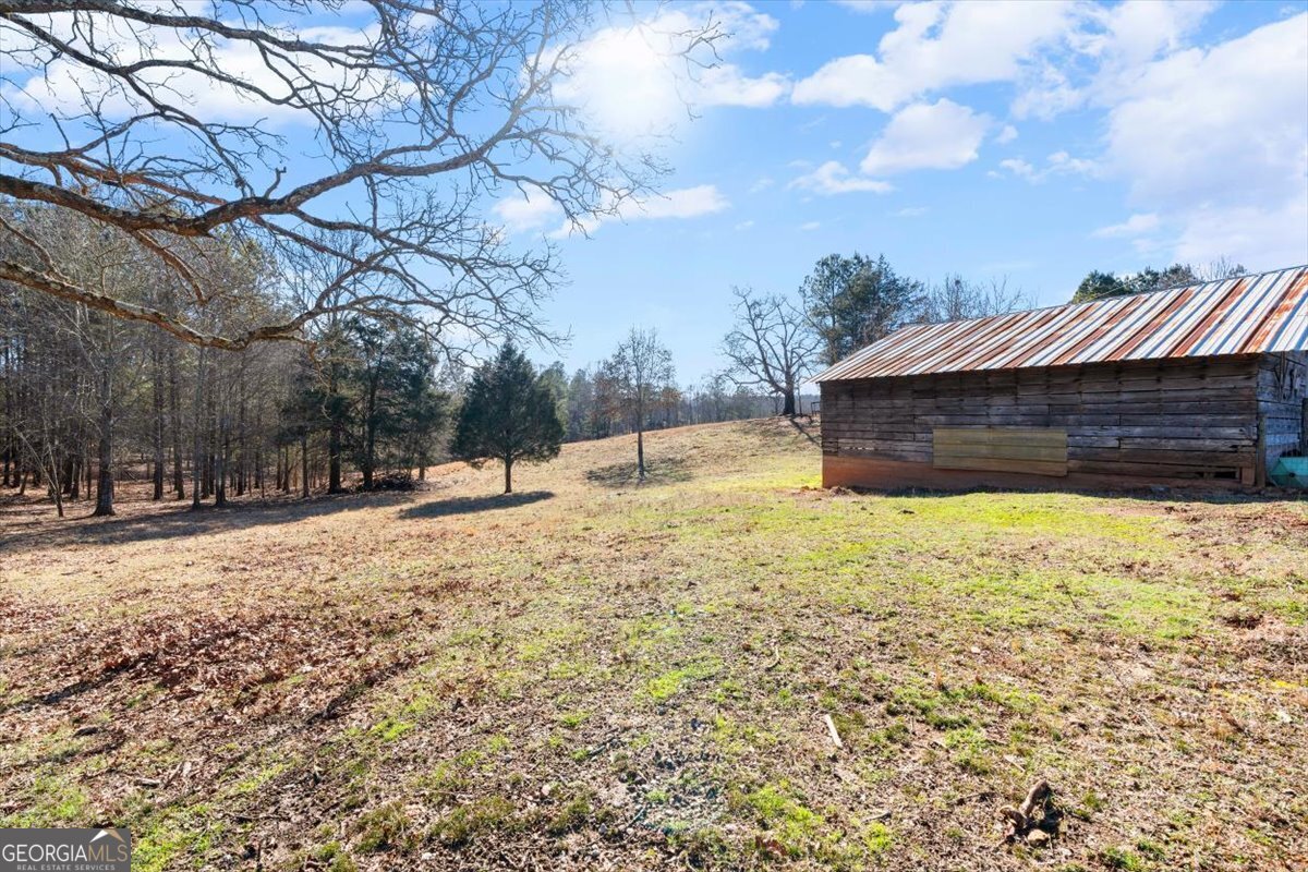 80 Hand Road Bowdon, GA 30108 - Photo 62 of 82 a view of a yard with snow on the road