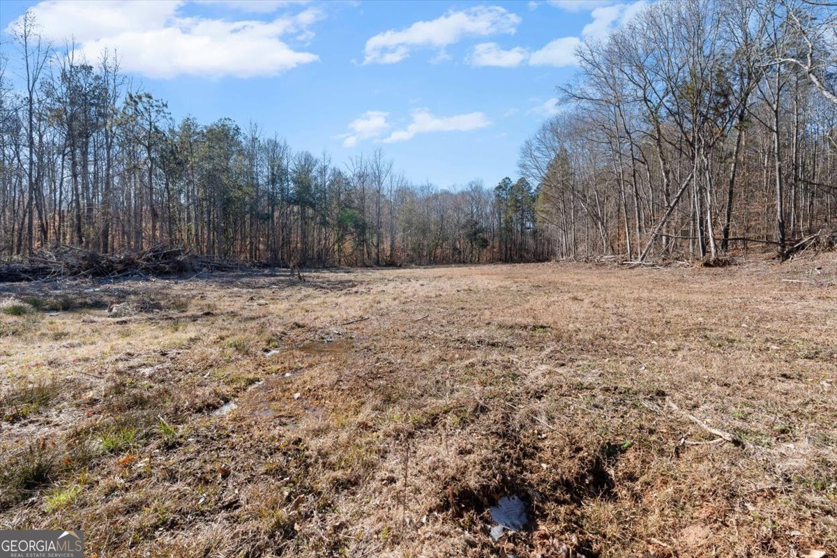 80 Hand Road Bowdon, GA 30108 - Photo 65 of 82