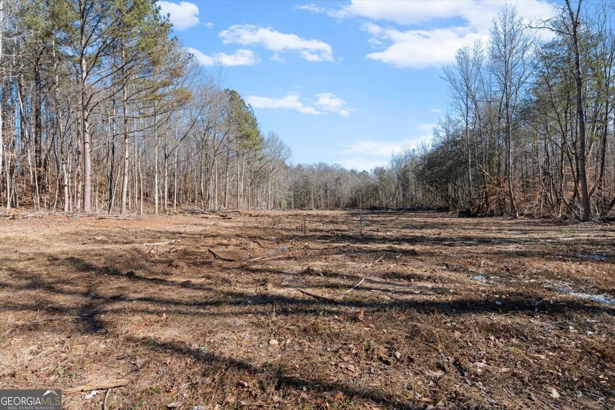 80 Hand Road Bowdon, GA 30108 - Photo 66 of 82 a view of dirt field with trees