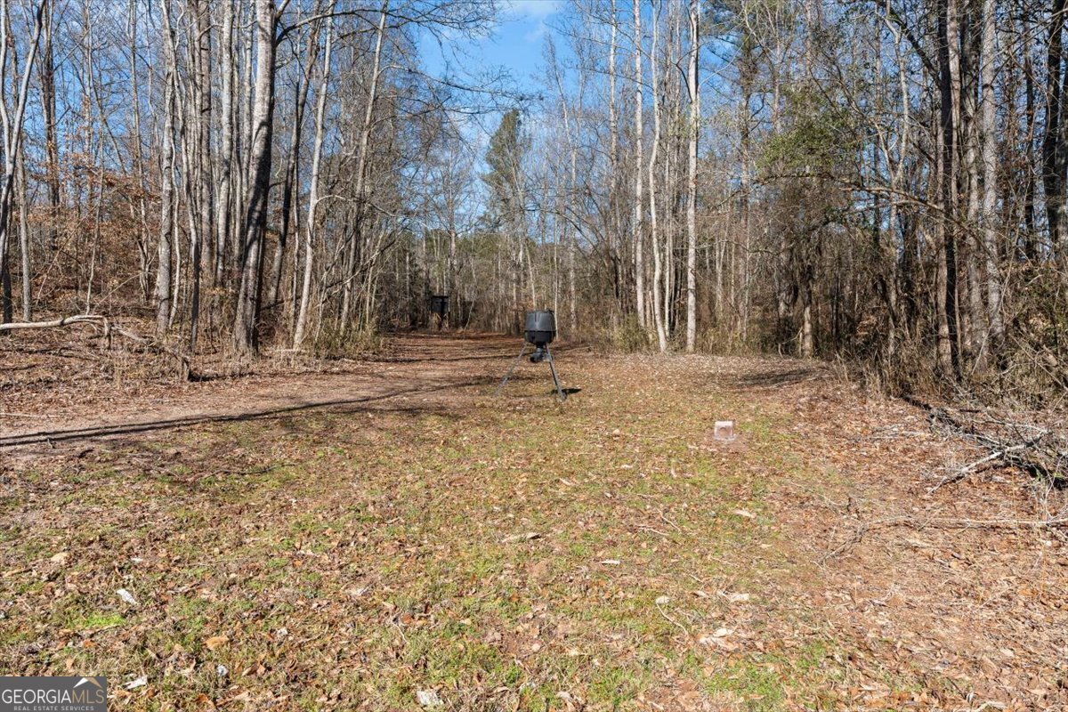 80 Hand Road Bowdon, GA 30108 - Photo 68 of 82 a backyard of a house with large trees