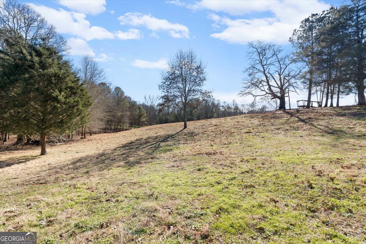 80 Hand Road Bowdon, GA 30108 - Photo 69 of 82