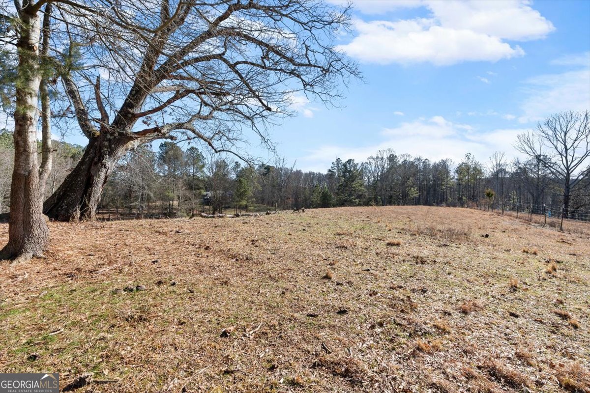 80 Hand Road Bowdon, GA 30108 - Photo 71 of 82