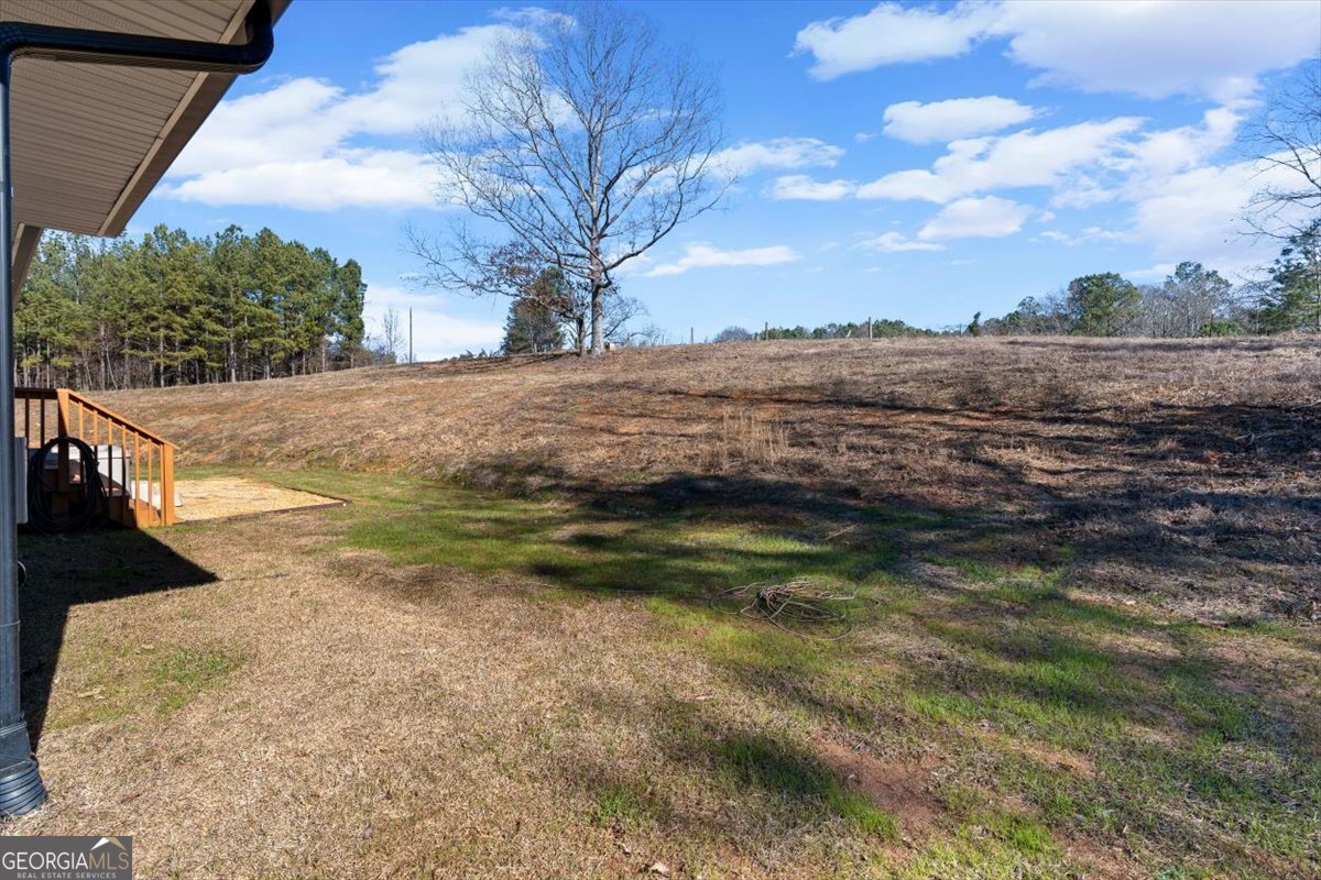 80 Hand Road Bowdon, GA 30108 - Photo 75 of 82