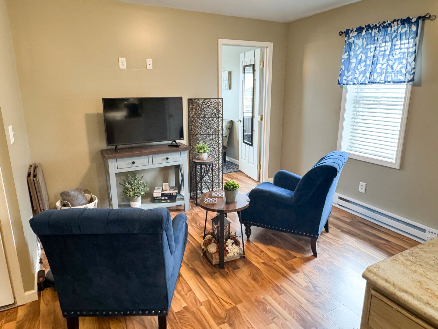 113 Lafayette Street Anna, IL 62906 - Photo 13 of 33 a living room with furniture and a flat screen tv
