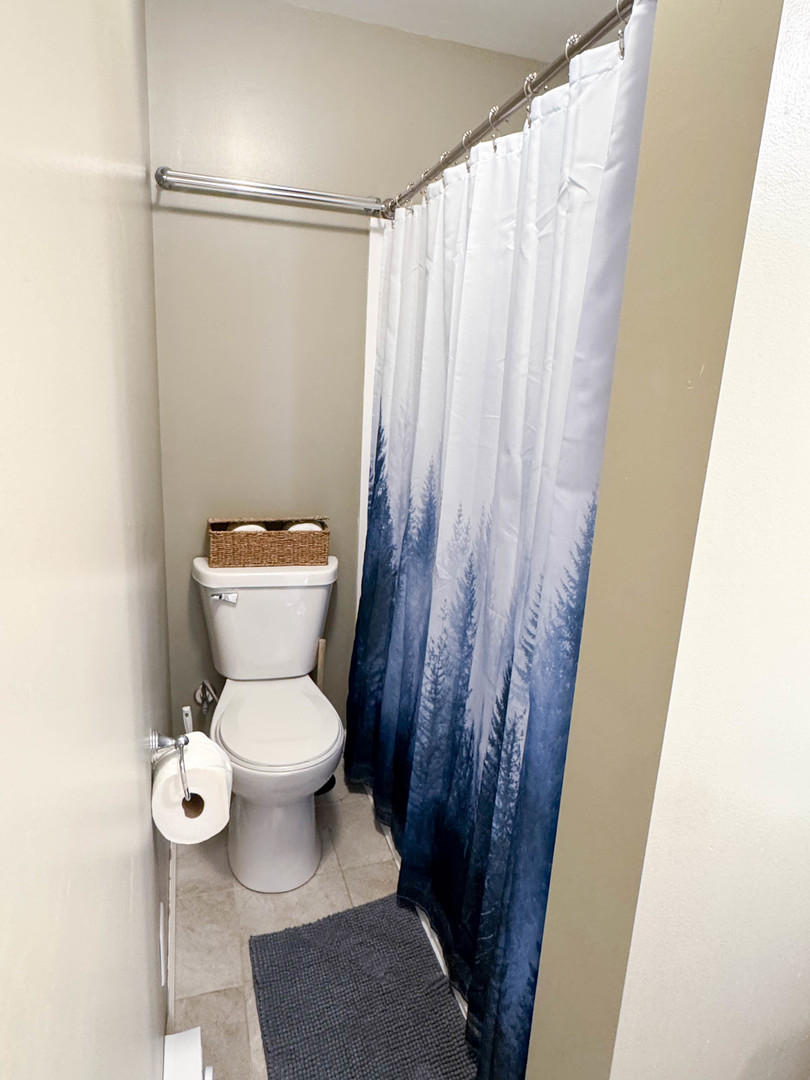 113 Lafayette Street Anna, IL 62906 - Photo 26 of 33 a white toilet sitting next to a shower curtain