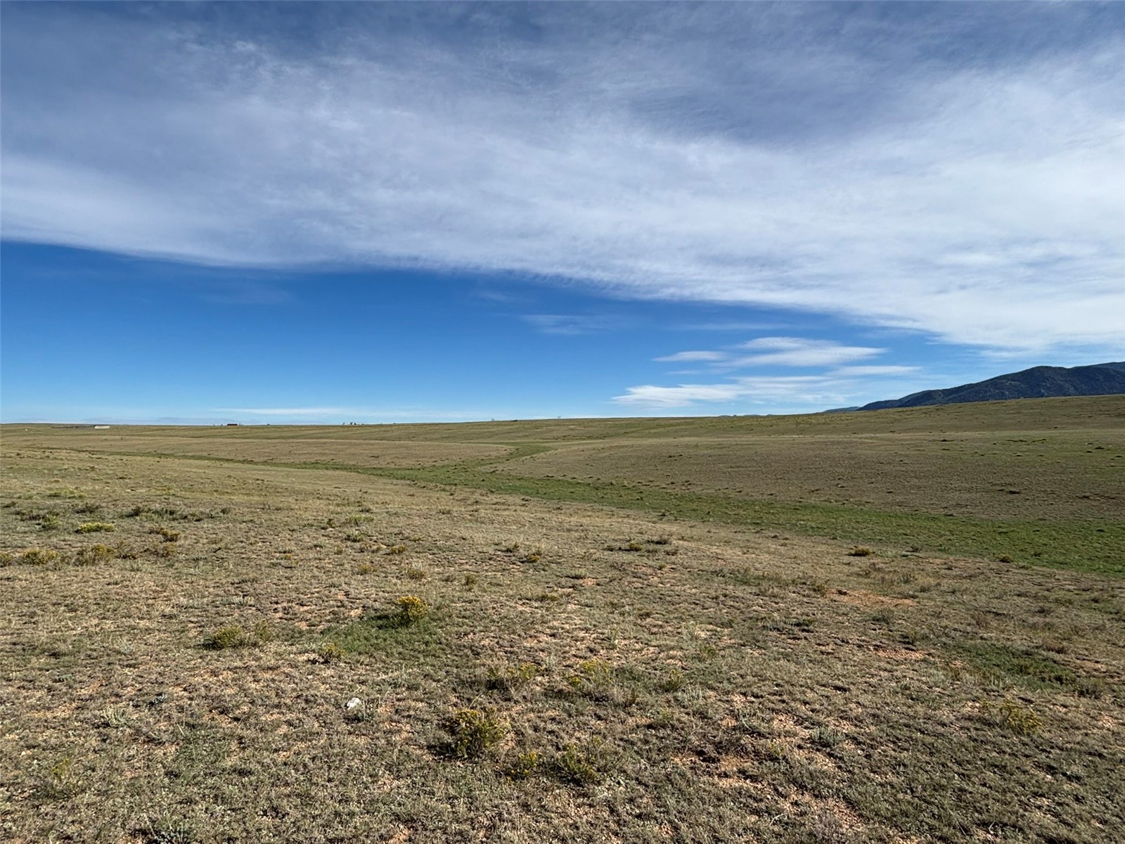 6561 Jackson Road Hartsel, CO 80449 - Photo 15 of 20 Gallery Image 15