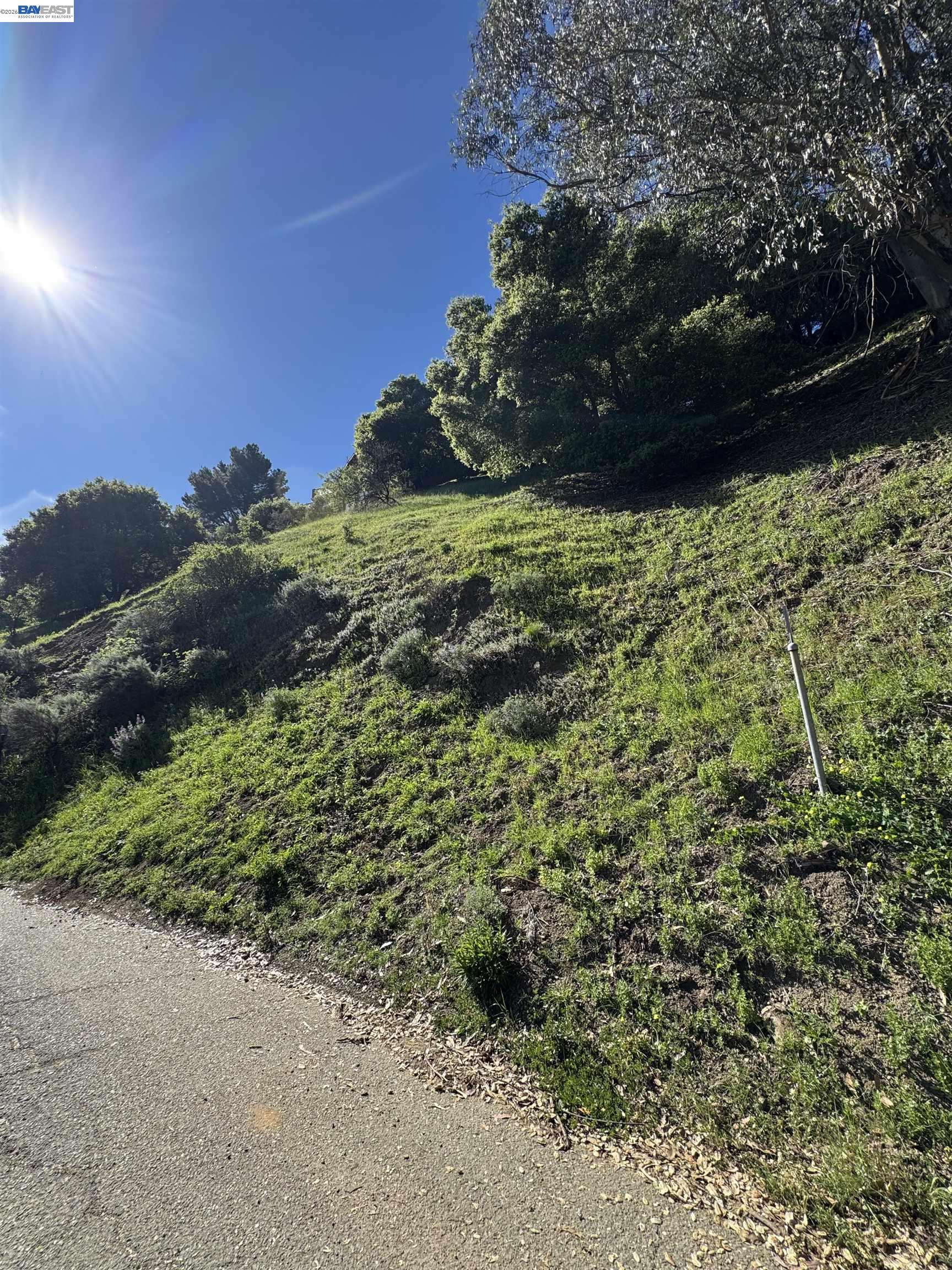 0 Charing Cross Road Berkeley, CA 94705 - Photo 11 of 18