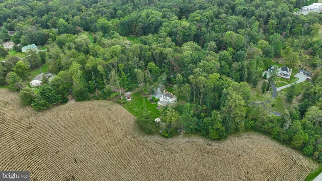 a view of a garden with a tree
