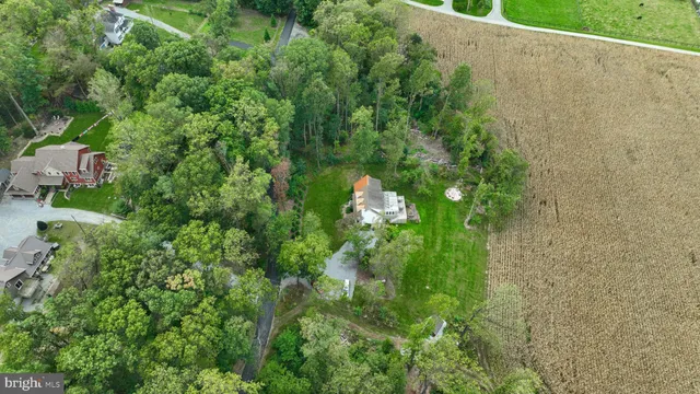 a view of a yard with a trees