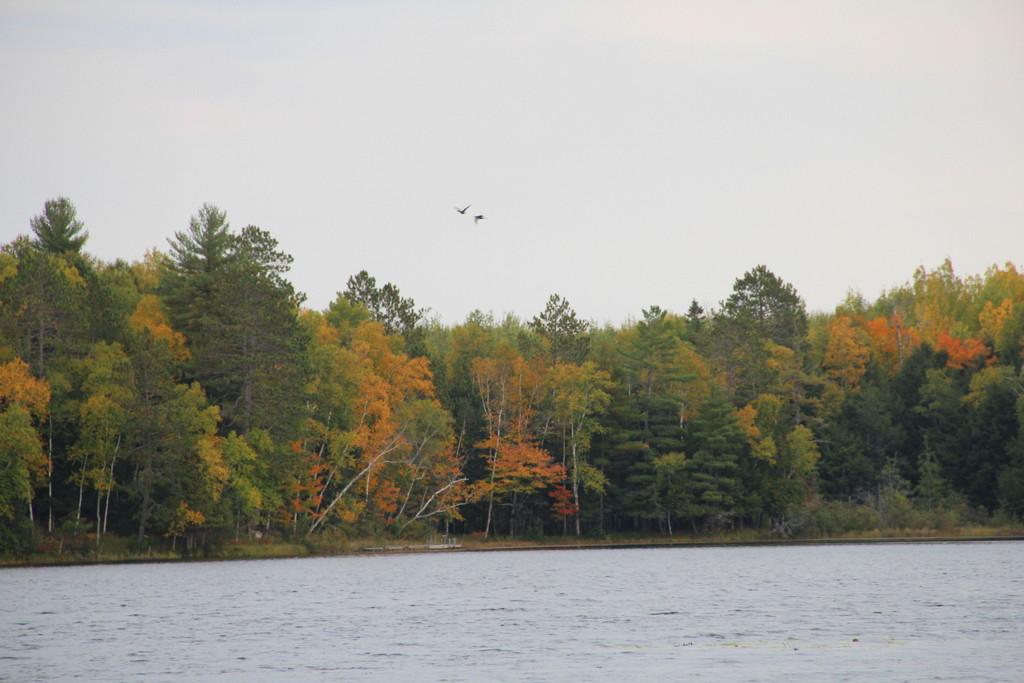 608 North Deer Path Road Park Falls, WI 54552 - Photo 3 of 17 Gallery Image 3