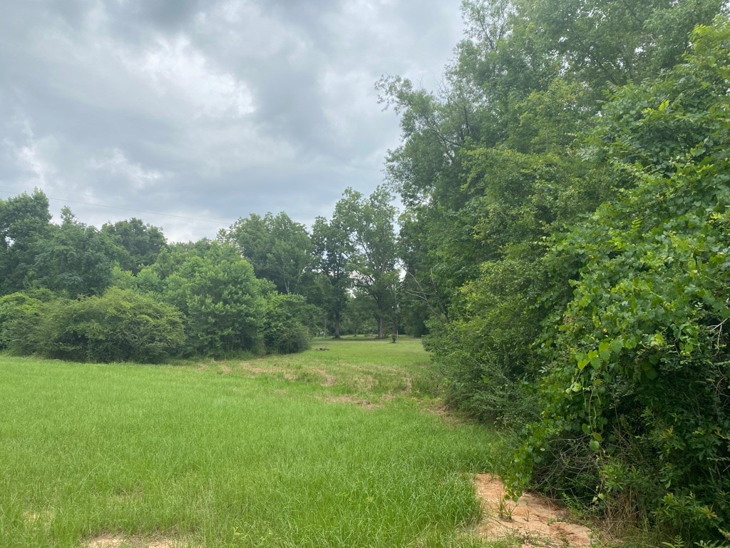 2242 Coot Adams Road Ashford, AL 36312 - Photo 26 of 39