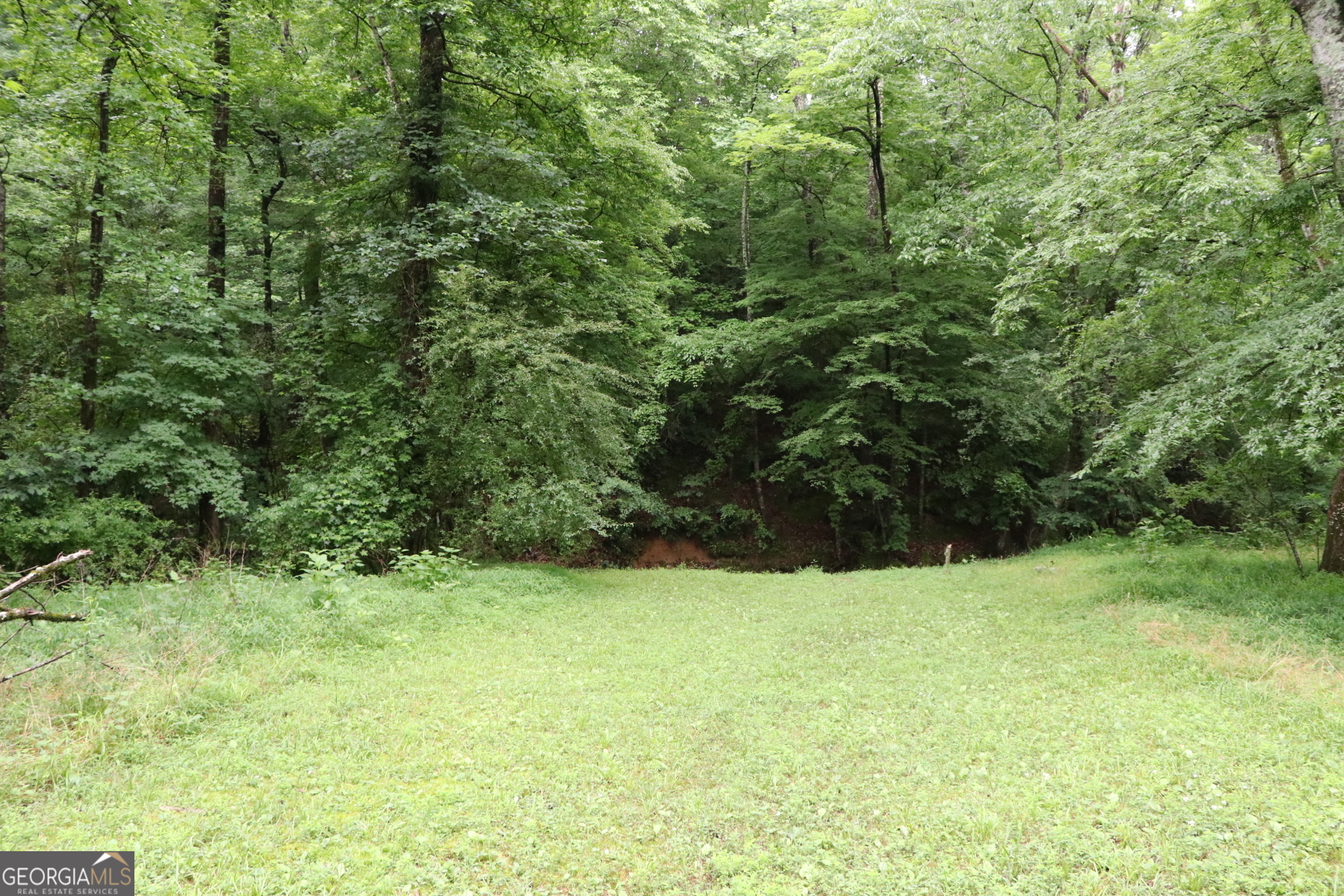 833 Neal Gap Road Summerville, GA 30747 - Photo 35 of 86