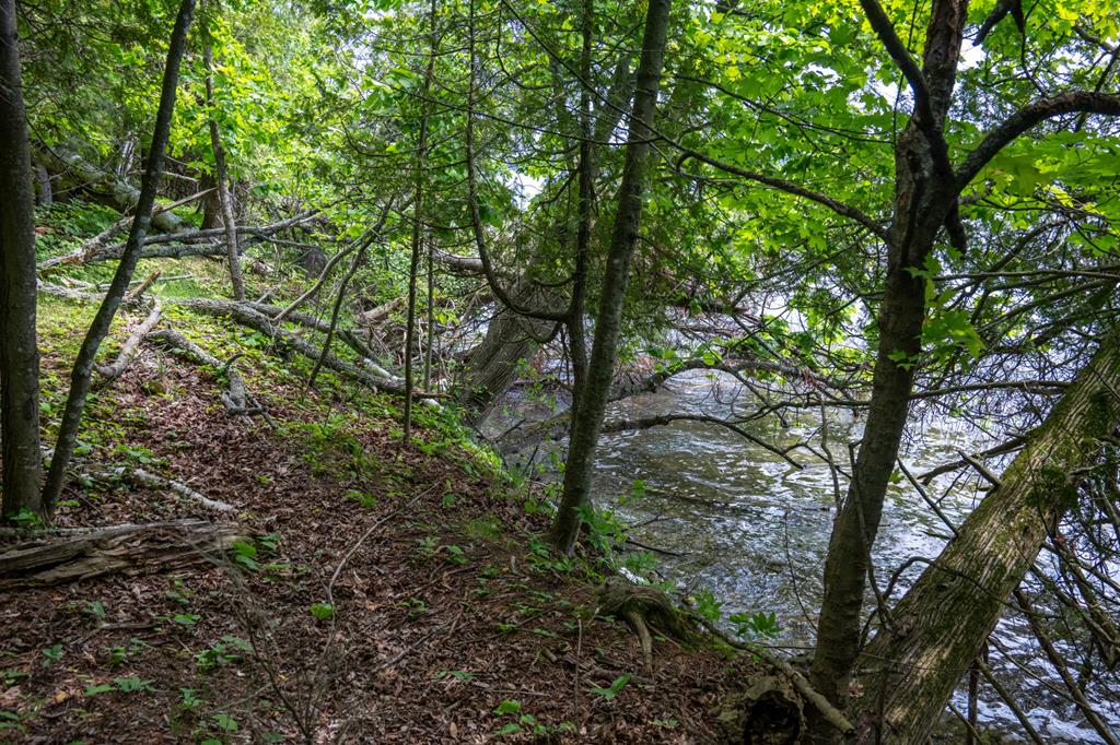 Tbd Logerquist Road Baileys Harbor, WI 54202 - Photo 17 of 38 Gallery Image 17