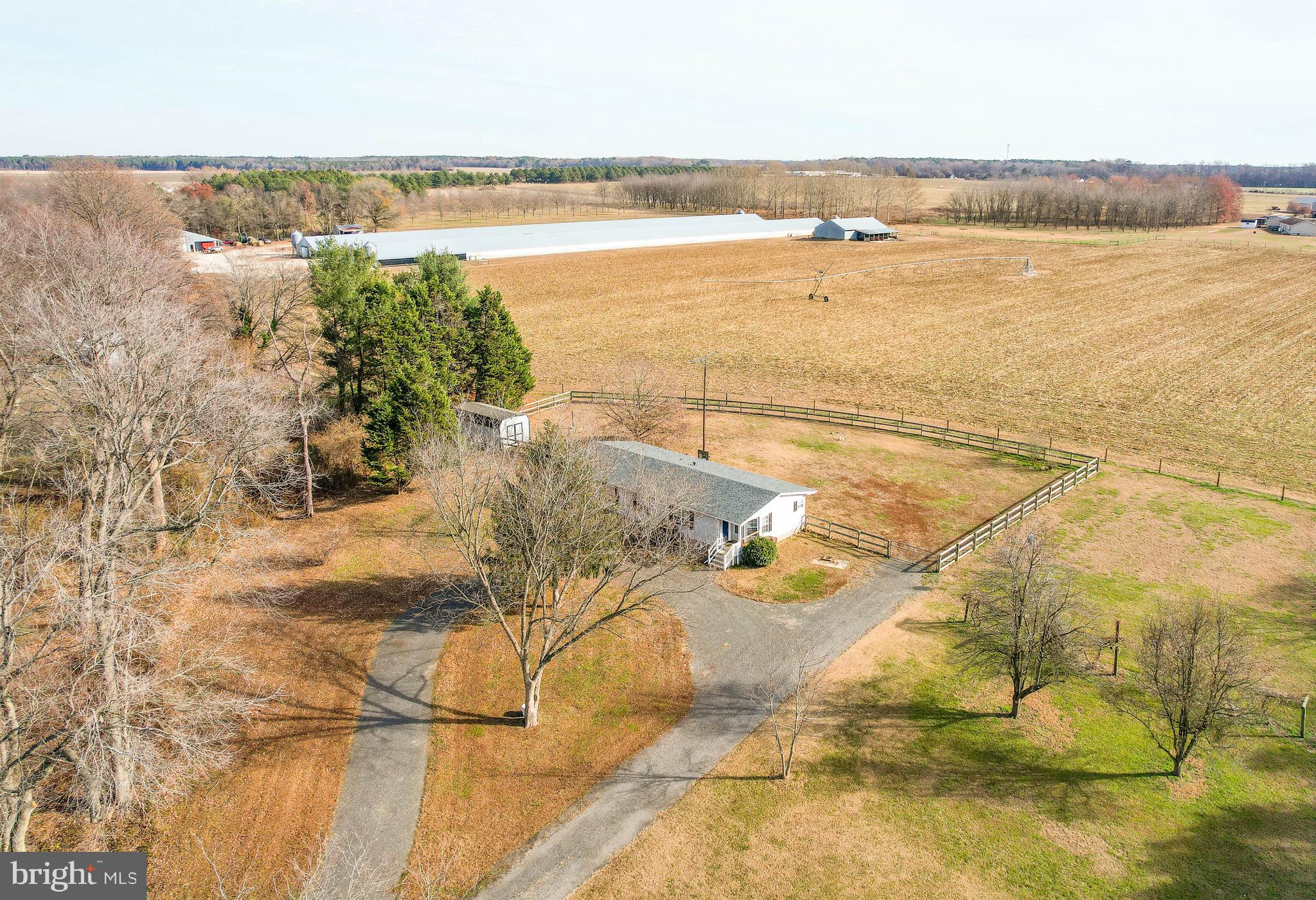 3297 Gallagher Road Preston, MD 21655 - Photo 4 of 72 Circle driveway