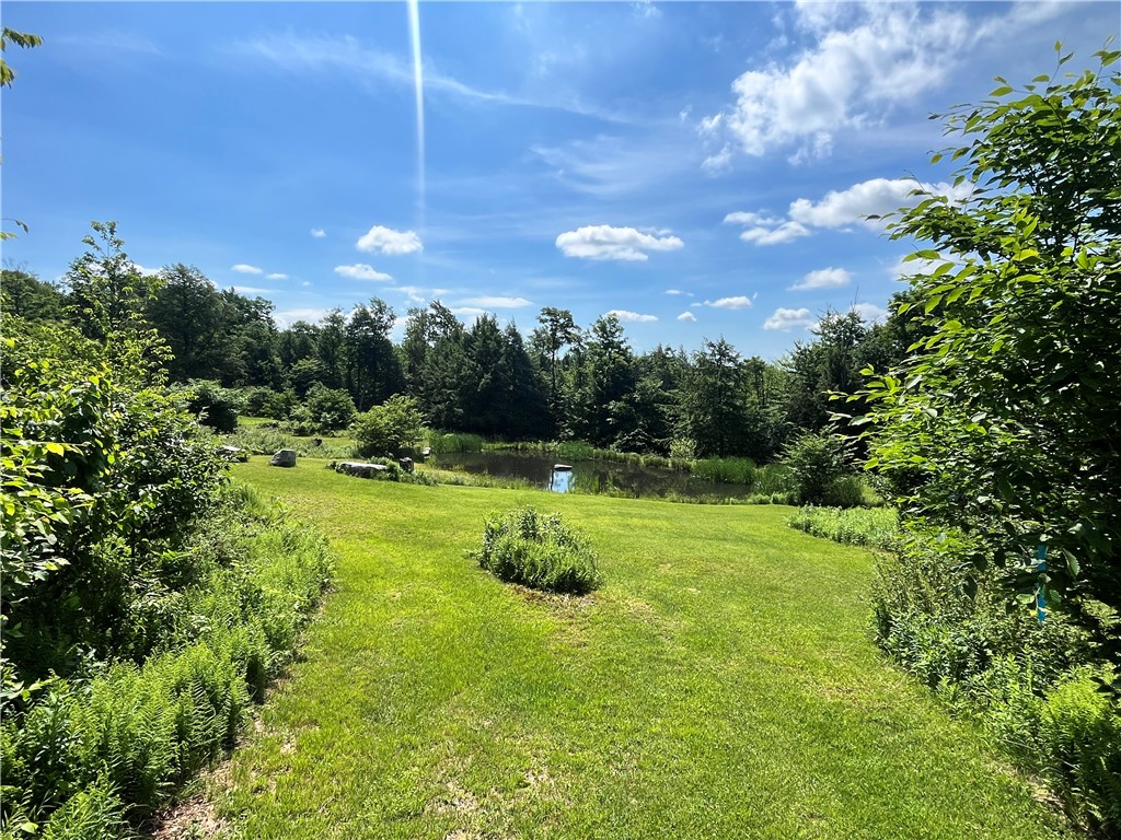 882 Alma Hill Road Alma, NY 14708 - Photo 40 of 46