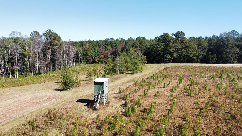 6875 Causeyville Clarke Road Meridian, MS 39301 - Photo 1 of 27 Main View