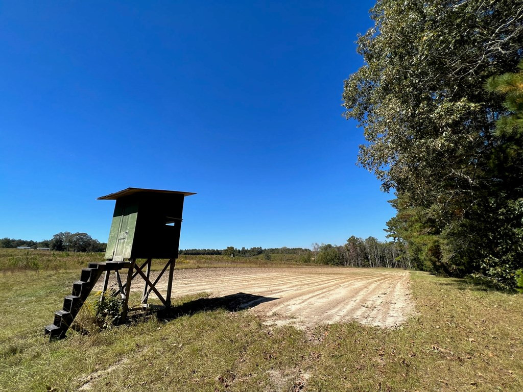6875 Causeyville Clarke Road Meridian, MS 39301 - Photo 11 of 27 Photo 11