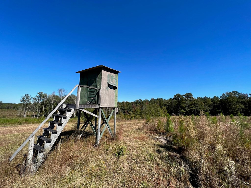 6875 Causeyville Clarke Road Meridian, MS 39301 - Photo 15 of 27 Photo 15