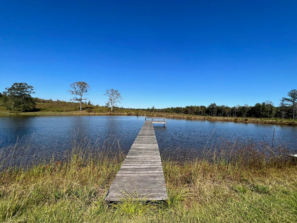 6875 Causeyville Clarke Road Meridian, MS 39301 - Photo 16 of 27 Photo 16