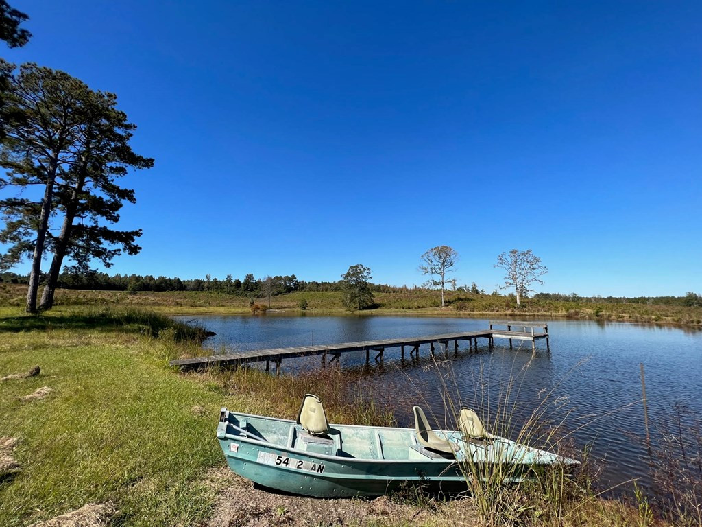 6875 Causeyville Clarke Road Meridian, MS 39301 - Photo 17 of 27 Photo 17
