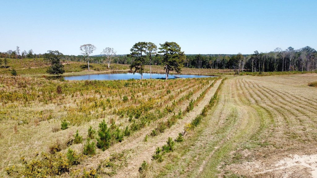 6875 Causeyville Clarke Road Meridian, MS 39301 - Photo 20 of 27 Photo 20